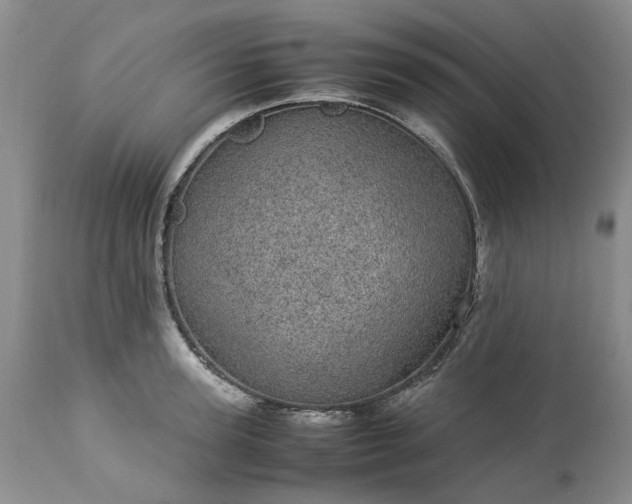 X0000113560947200910021552