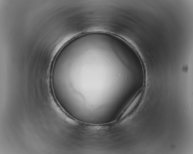 X0000113560949200910021552