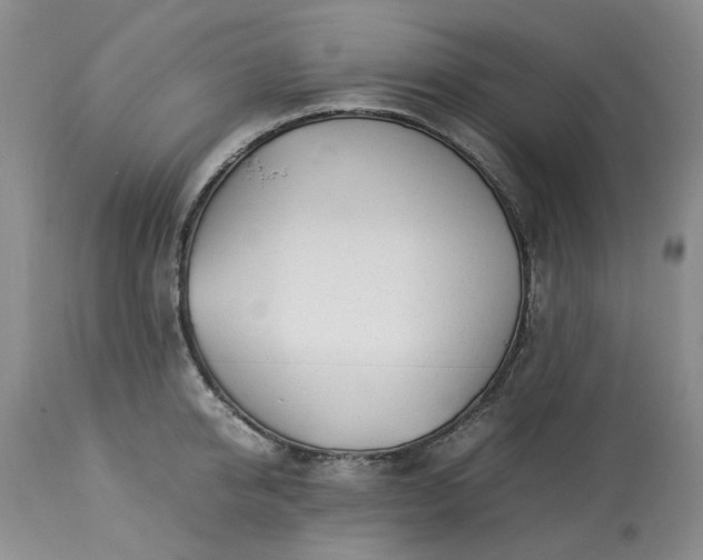 X0000113560950200910021552