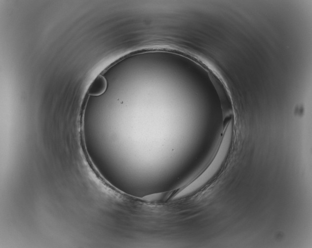 X0000113560951200910021552