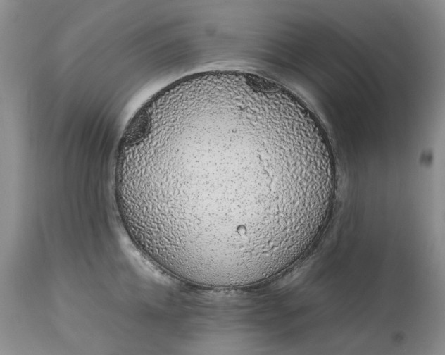 X0000113560952200910021552