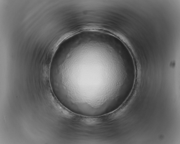 X0000113560953200910021552