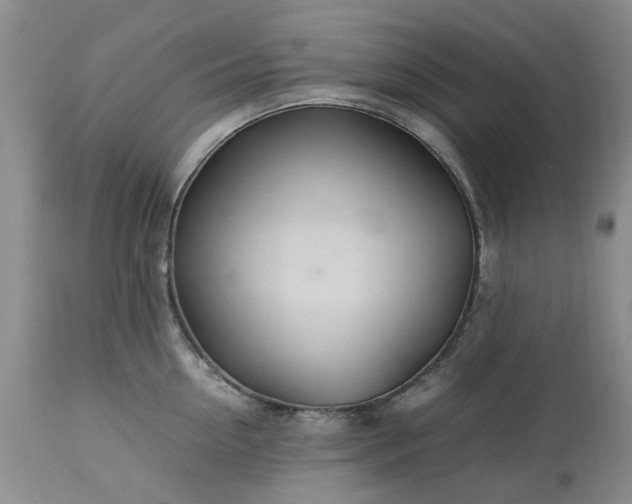 X0000113560954200910021552