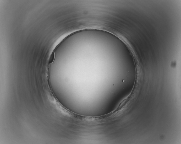 X0000113560956200910021552