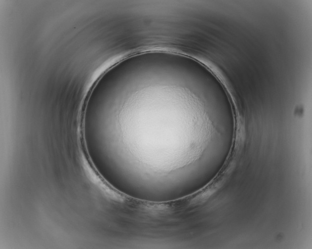 X0000113560957200910021552