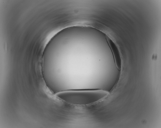 X0000113560960200910021552