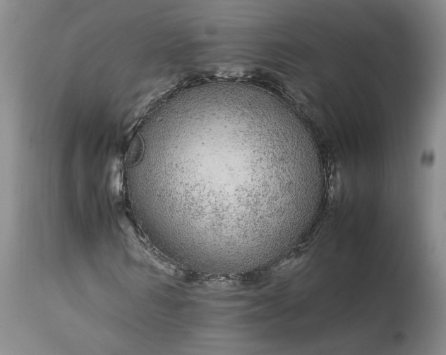 X0000113560962200910021551