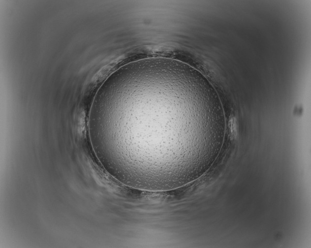 X0000113560963200910021551