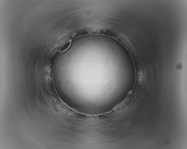 X0000113560964200910021551