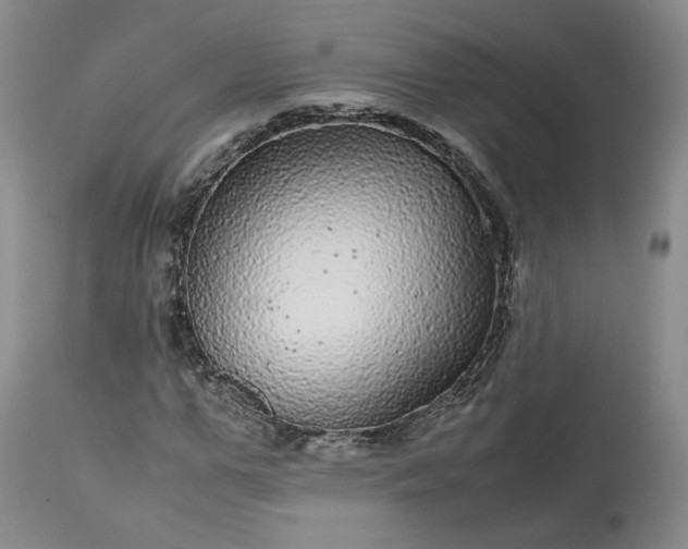 X0000113560967200910021551