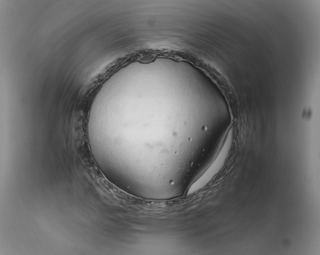 X0000113560968200910021551