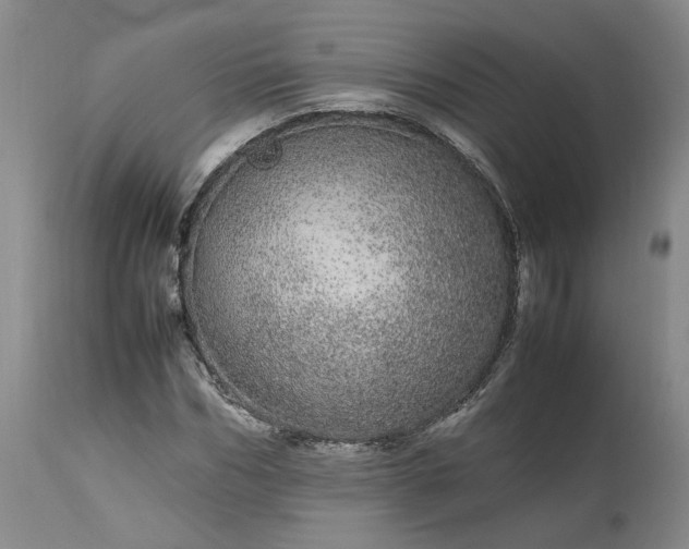 X0000113560970200910021551
