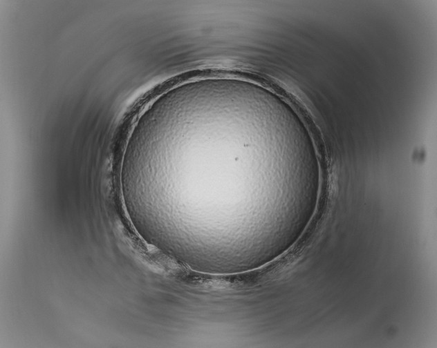 X0000113560971200910021551