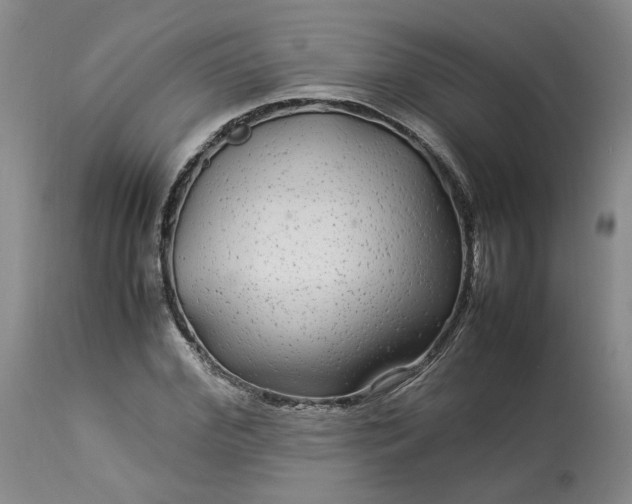 X0000113560972200910021551