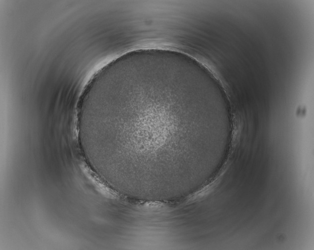 X0000113560974200910021551