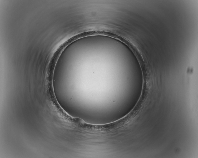 X0000113560975200910021551