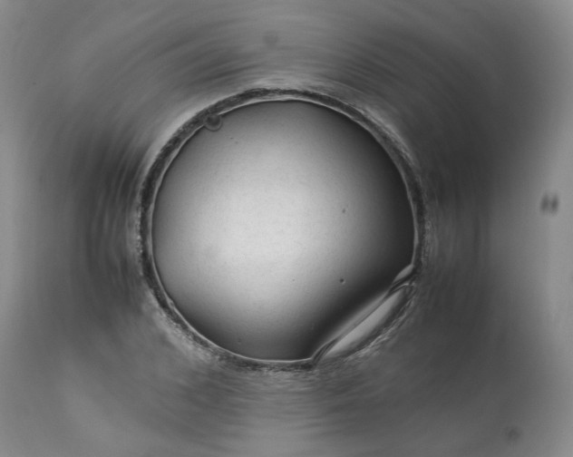 X0000113560976200910021551