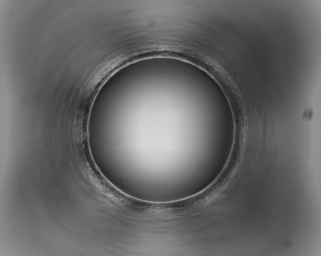 X0000113560977200910021551