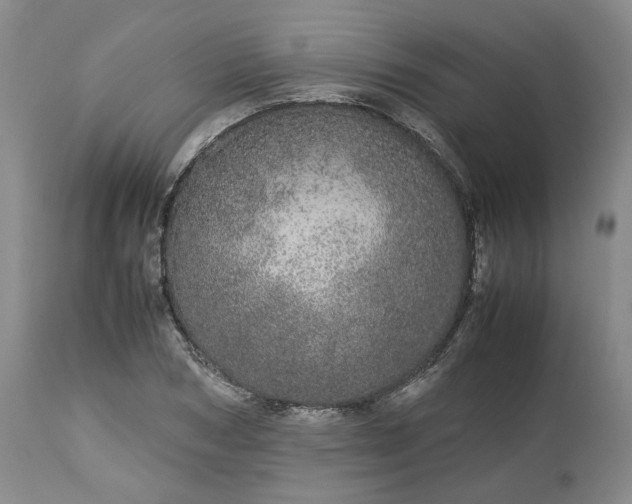 X0000113560978200910021551