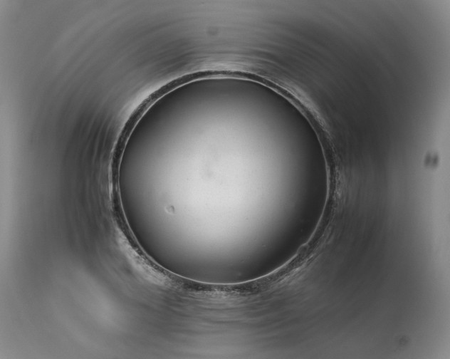 X0000113560980200910021551