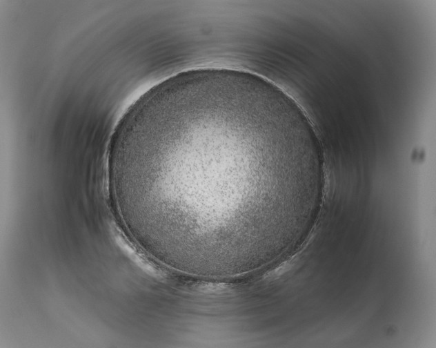 X0000113560982200910021551