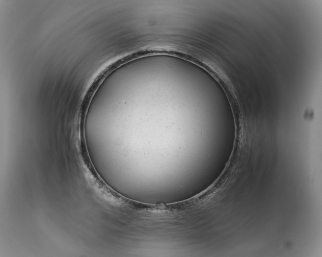 X0000113560984200910021551