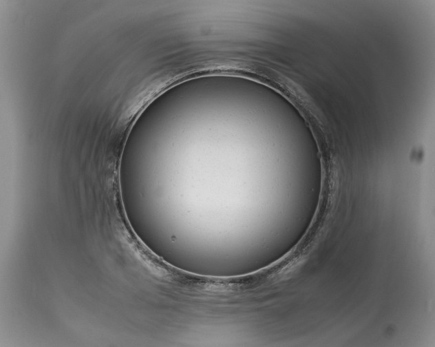 X0000113560985200910021551