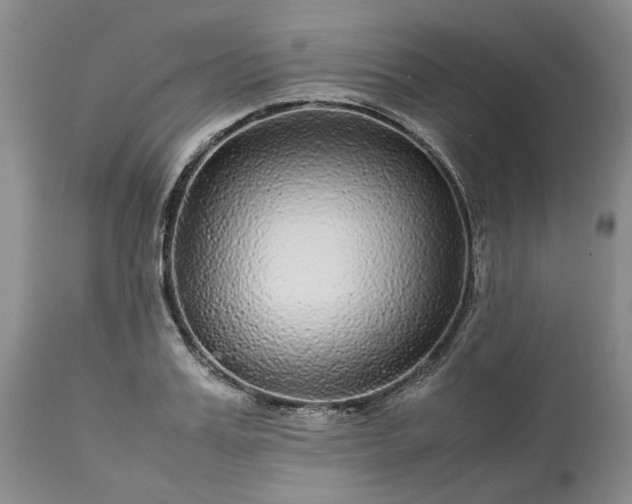 X0000113560987200910021551