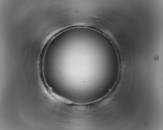 X0000113560991200910021551