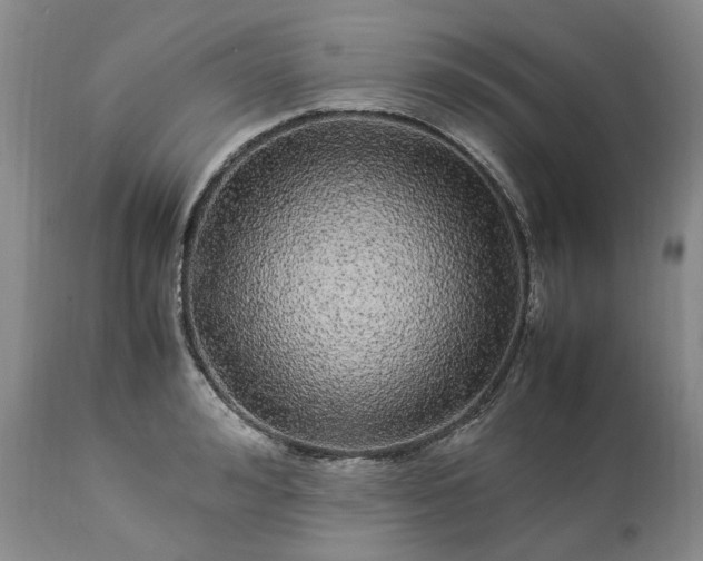 X0000113560992200910021551