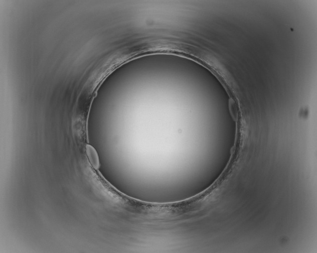 X0000113560993200910021551