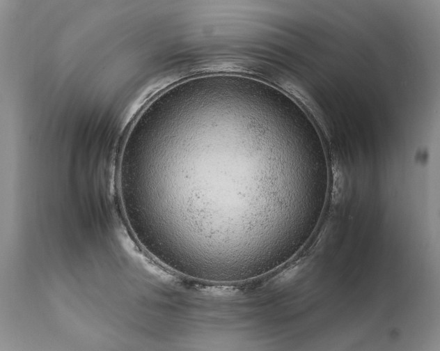 X0000113560994200910021551