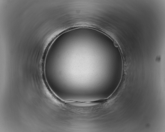 X0000113560995200910021551