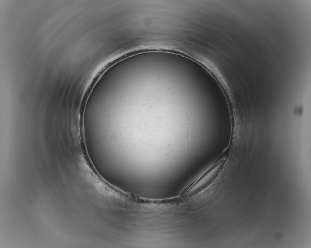 X0000113560996200910021551