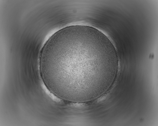 X0000113560998200910021551