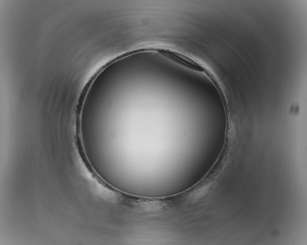 X0000113560999200910021551