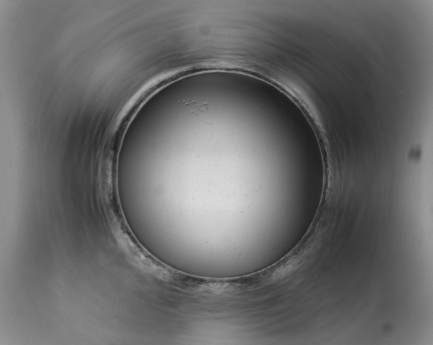 X0000113561000200910021551