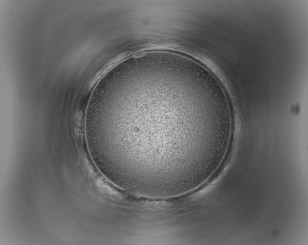 X0000113561001200910021551
