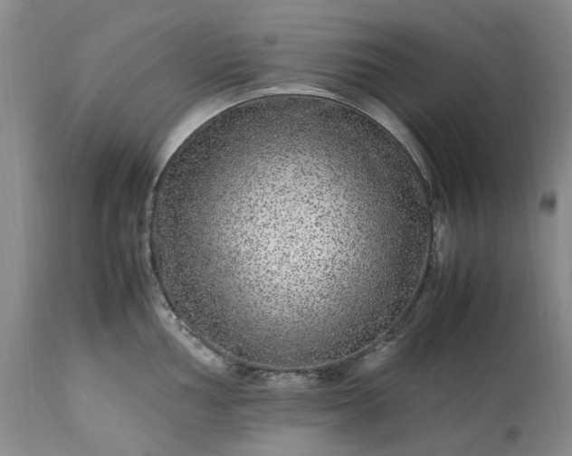 X0000113561002200910021551