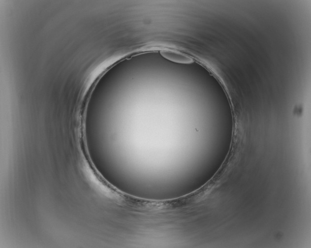 X0000113561003200910021551