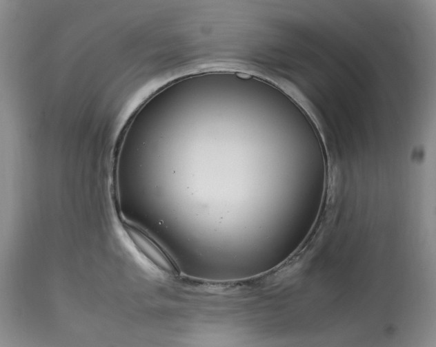 X0000113561005200910021551