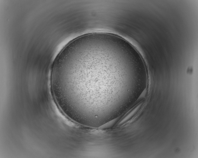 X0000113561006200910021550