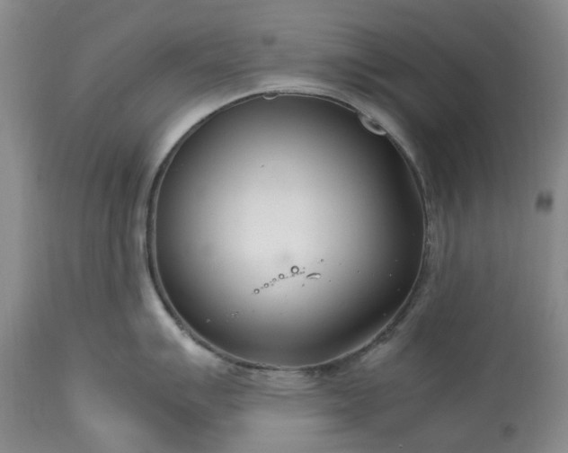 X0000113561007200910021550