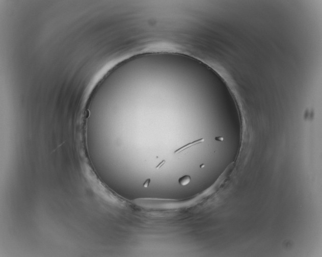 X0000113561008200910021550