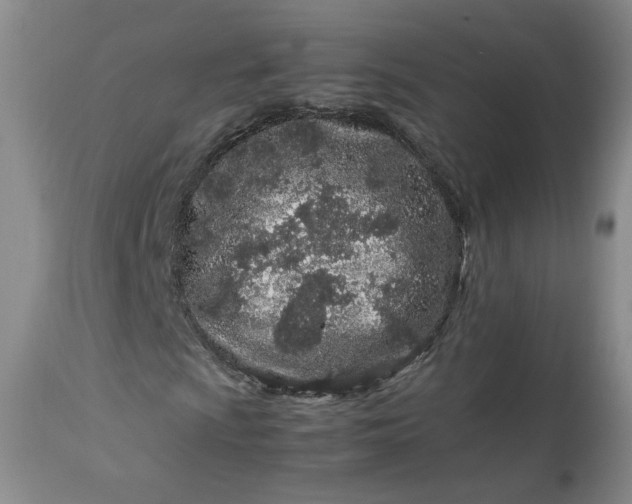 X0000113561009200910021550