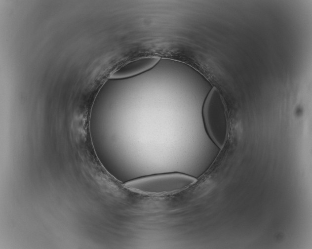 X0000113561010200910021550