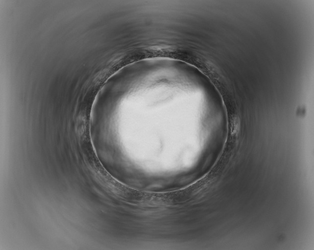 X0000113561011200910021550