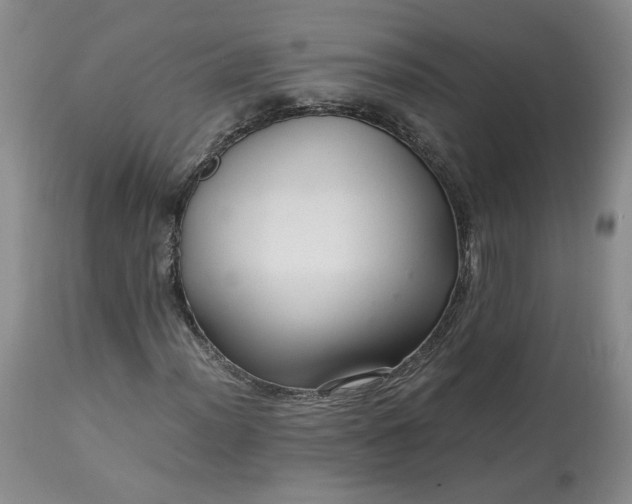 X0000113561012200910021550