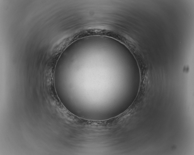 X0000113561014200910021550