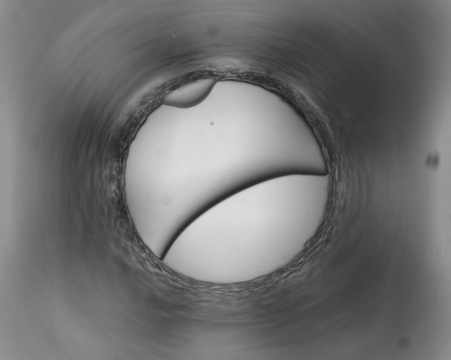 X0000113561016200910021550